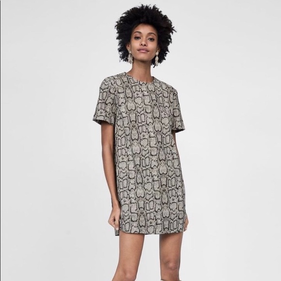 zara printed jacquard dress